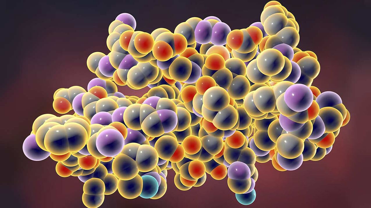 Il modello di insulina è l'ormone grazie a cui il corpo rinuncia al glucosio